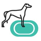 greyhound-racing-betting