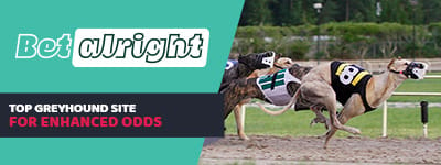 Betalright-greyhound-banner