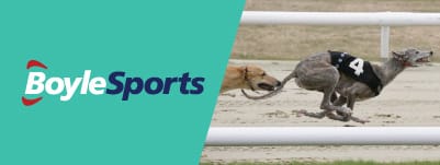 boylesports-greyhound-derby-betting-banner