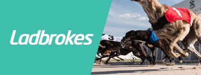 ladbrokes-greyhound-derby-betting-banner