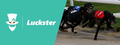 Luckster-greyhound-derby-betting-banner