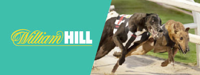 william-hill-greyhound-derby-betting-banner