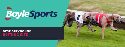 boylesports-banner