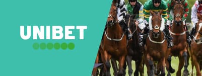 unibet-punchestown-festival-horse-racing-banner