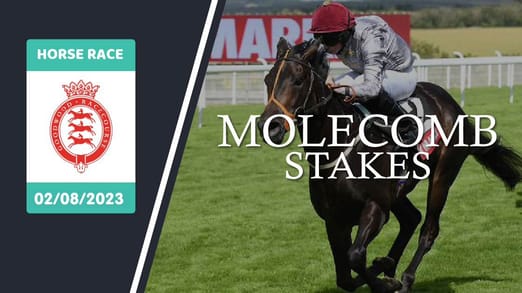 molecomb-stakes-2023-banner