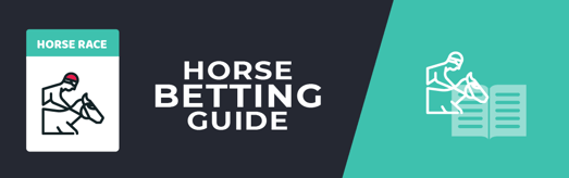 Original banner featuring a jockey on a horse followed by the words "Horse Betting Guide" to visually help readers know what the page is about