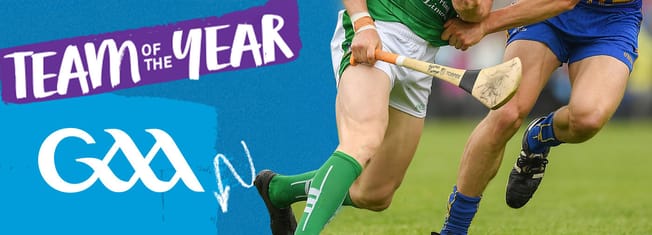 Gaa hurling team of the year