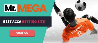 mr-mega-casino-banner