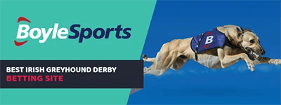 boylesports-irish-greyhound-derby-banner