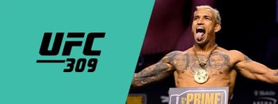 chandler-ufc-banner