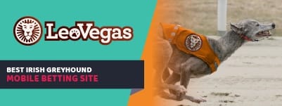 leovegas-irish-greyhound-derby-banner