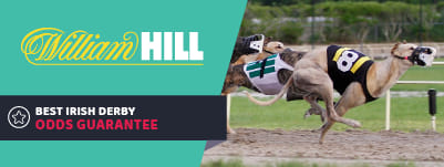 william-hill-irish-greyhound-derby-banner