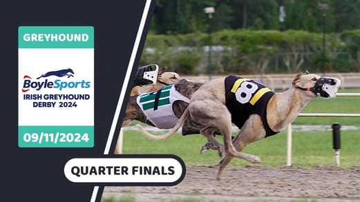 irish-greyhound-derby-2024-quarter-finals prediction-banner